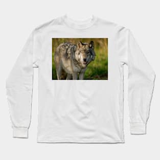 Timber Wolf Long Sleeve T-Shirt